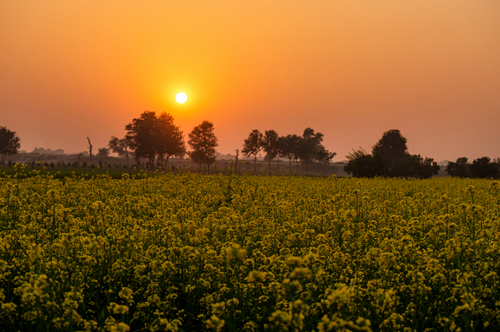 jalandhar-to-rishikesh