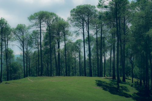 nainital-ranikhet