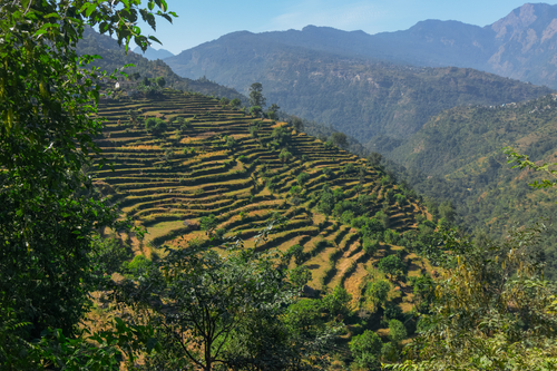 pauri-garhwal